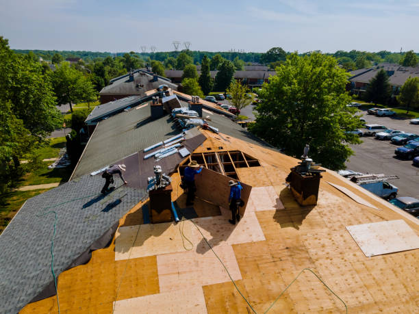 Best Storm Damage Roof Repair  in Newfield, NJ
